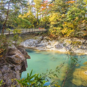 japan_autumn_2015-8175