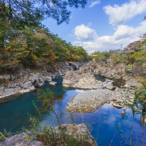 japan_autumn_2015-8179