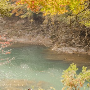 japan_autumn_2015-8232