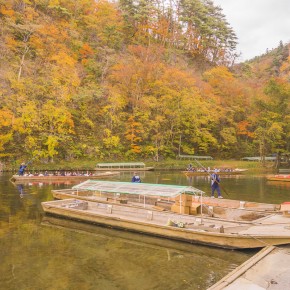 japan_autumn_2015-8266