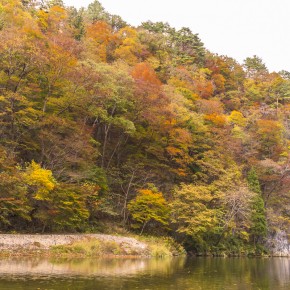 japan_autumn_2015-8324