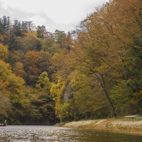 japan_autumn_2015-8515