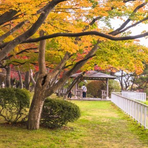 japan_autumn_2015-8569