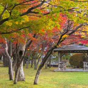 japan_autumn_2015-8570
