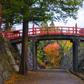 japan_autumn_2015-8578