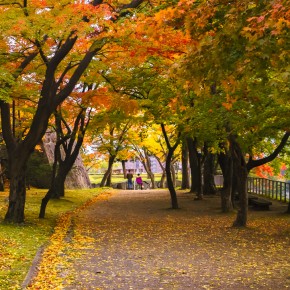 japan_autumn_2015-8579