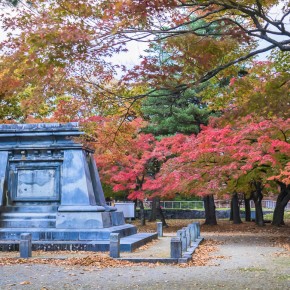 japan_autumn_2015-8587