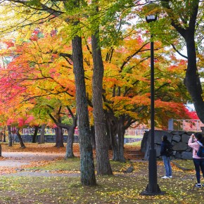 japan_autumn_2015-8589