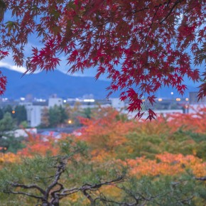 japan_autumn_2015-8596