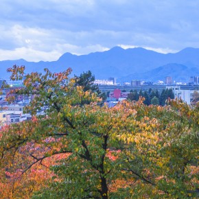 japan_autumn_2015-8597