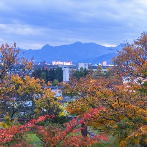 japan_autumn_2015-8602