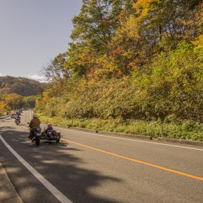 japan_autumn_2015-8688