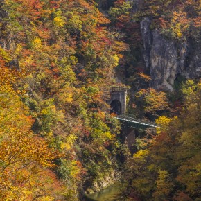 japan_autumn_2015-8703