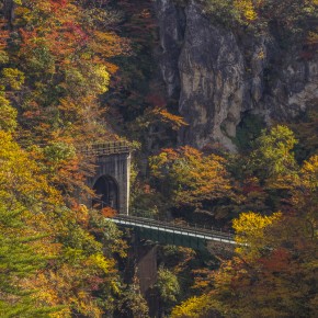 japan_autumn_2015-8717
