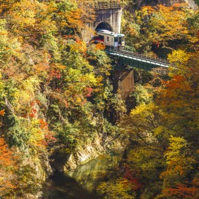 japan_autumn_2015-8740