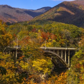 japan_autumn_2015-8814