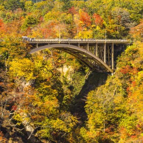 japan_autumn_2015-8819