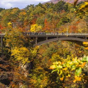 japan_autumn_2015-8835