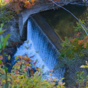 japan_autumn_2015-8846