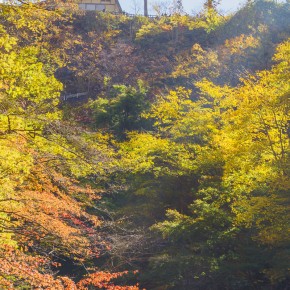 japan_autumn_2015-8887
