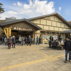 japan_autumn_2015-8919