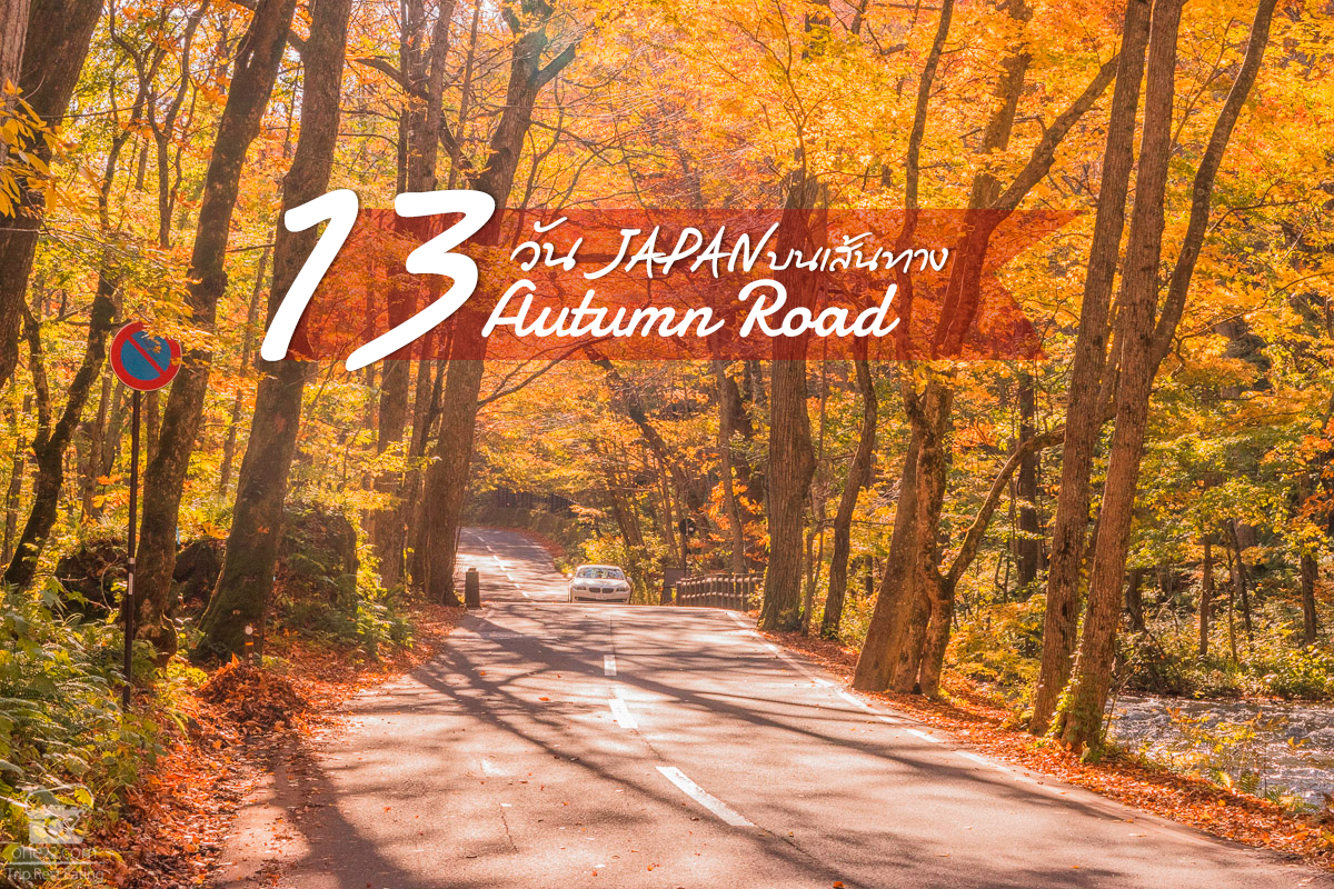 13 day autumn road,13วันบนเส้นทางใบไม้เปลี่ยนสี ญี่ปุ่น