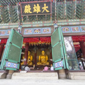 korea2014-9558