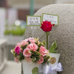 korea2014-9586