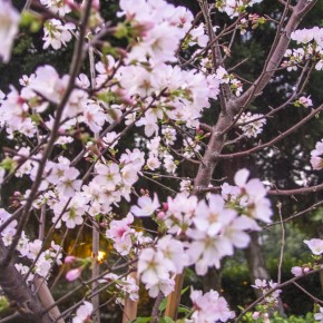 taiwan_famtrip_2015-9398