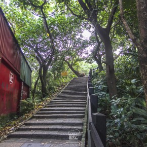 taiwan_famtrip_2015-9550