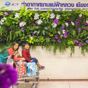 chiangrai_2016-00436
