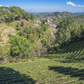 chiangrai_2016-00633