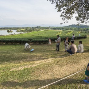 chiangrai_2016-01235