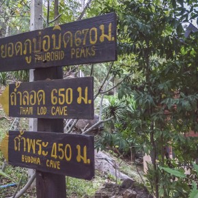 loei_2015-02362