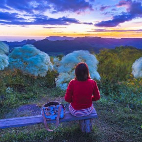 loei_2015-02413