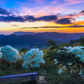 loei_2015-02420