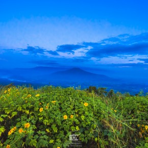 loei_2015-02467