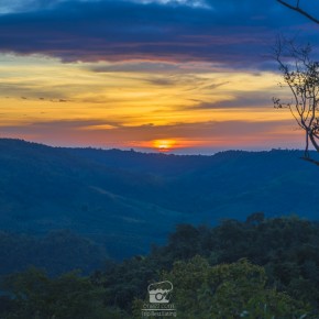 loei_2015-02480