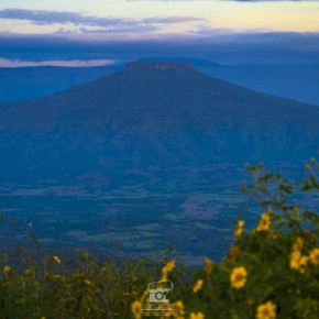 loei_2015-02538