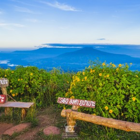 loei_2015-02559