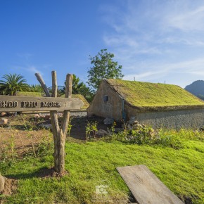 loei_2015-02820