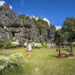loei_2015-02929
