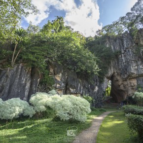 loei_2015-02947