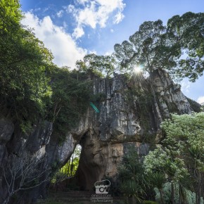 loei_2015-02952