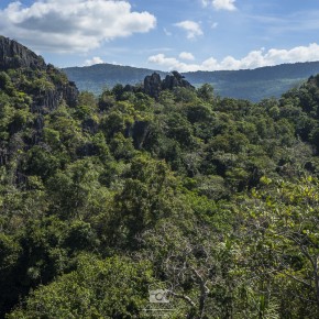 loei_2015-02979