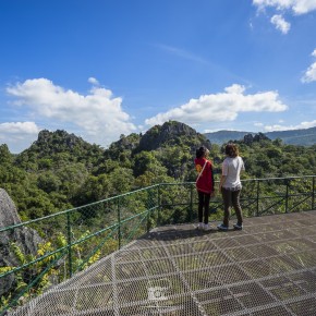 loei_2015-02984