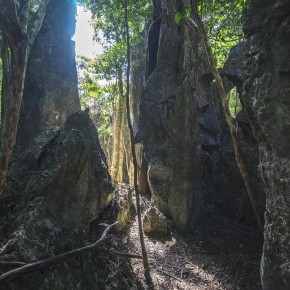 loei_2015-02997
