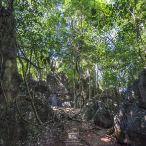 loei_2015-03002