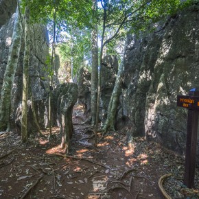 loei_2015-03003