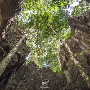 loei_2015-03014